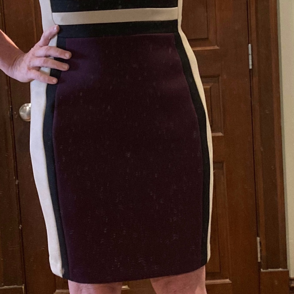 Calvin Klein Colorblock Dress